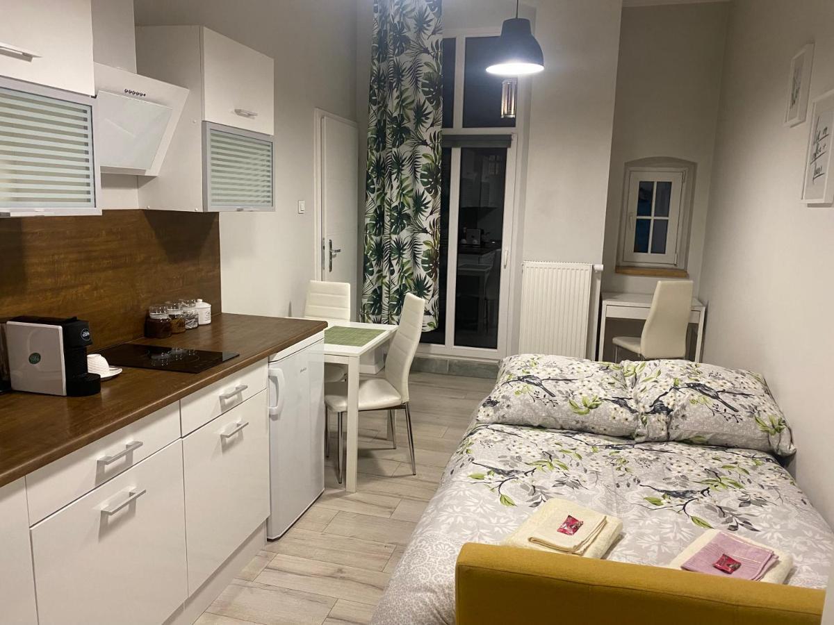 Апартаменти Przytulna Kawalerka 10Min Pieszo Od Dworca/Galerii Катовіце Екстер'єр фото